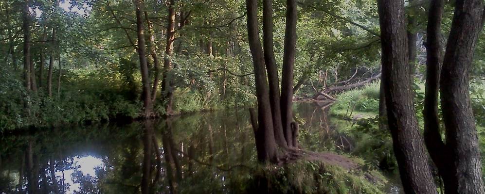 Фотография Залесья