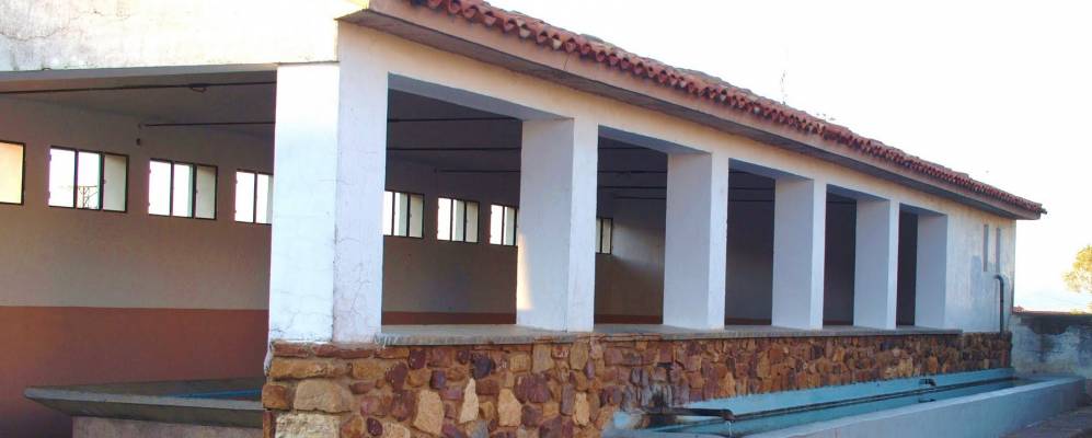 Фотография Ольвегы