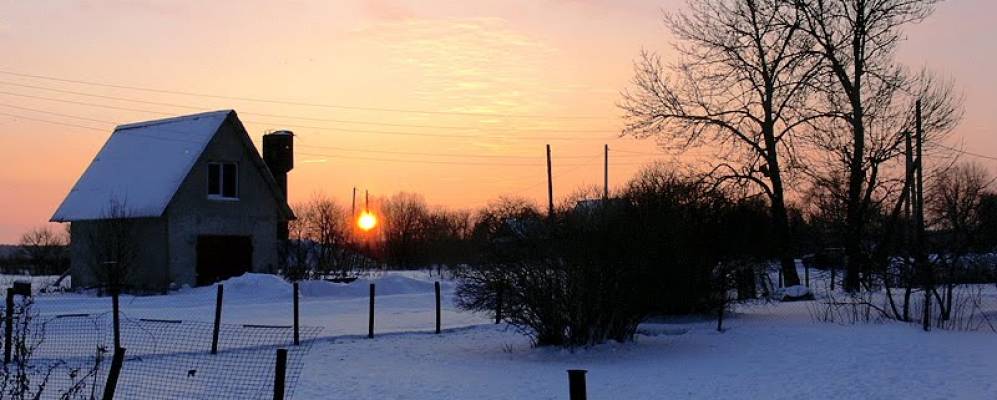 Фотография Матово