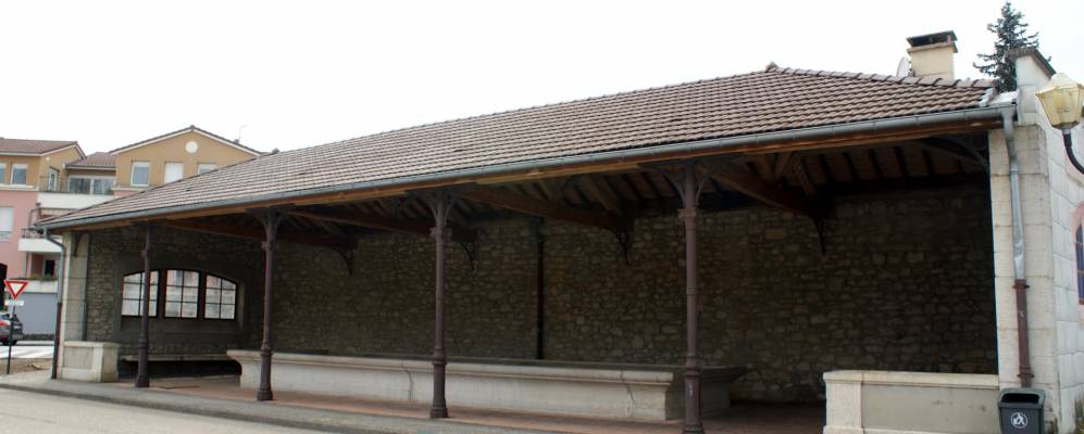 
            Фотография Беллинья