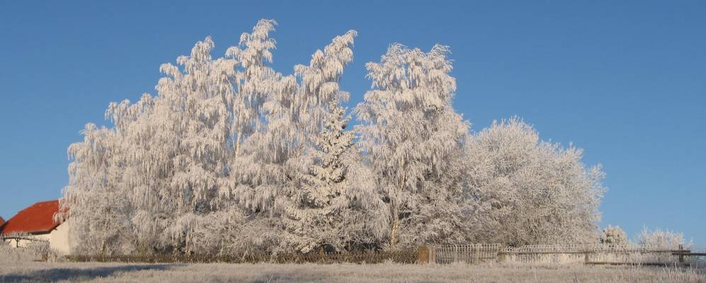 
            Фотография Лобейуна