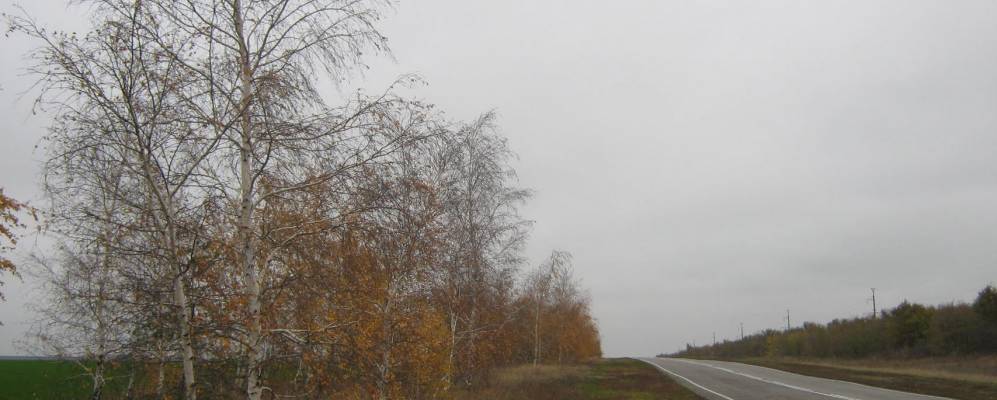 Фотография Фомихинского