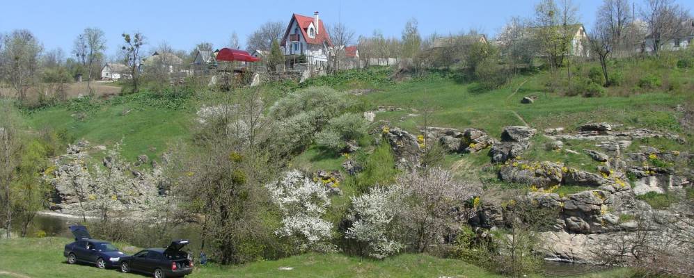 
            Фотография Клена