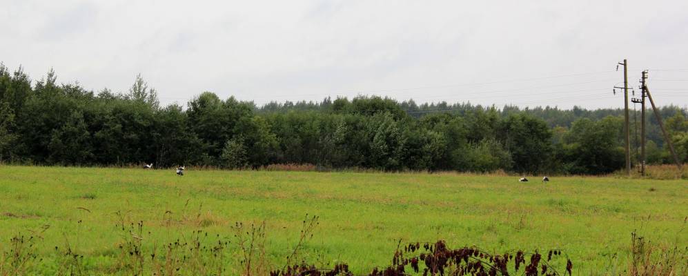 Фотография Усадьбы