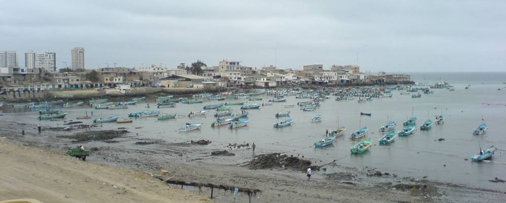 
            Фотография Салинаса