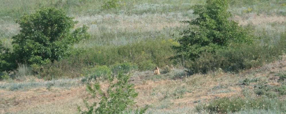 Фотография Гармашевки