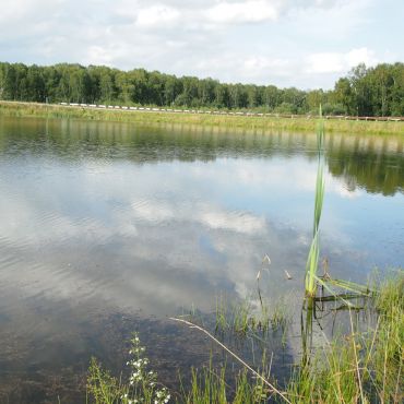 Петропавловка