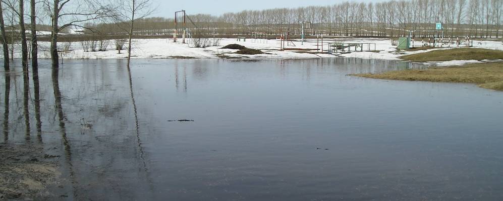 
            Фотография Помряскино