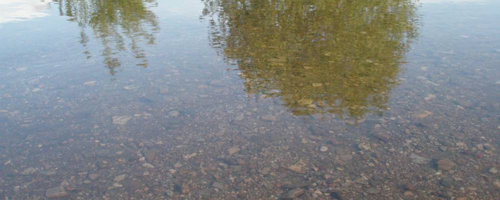 
            Фотография Владимировки