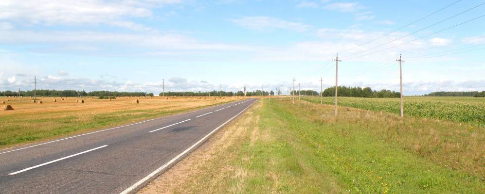 
            Фотография Малиновки