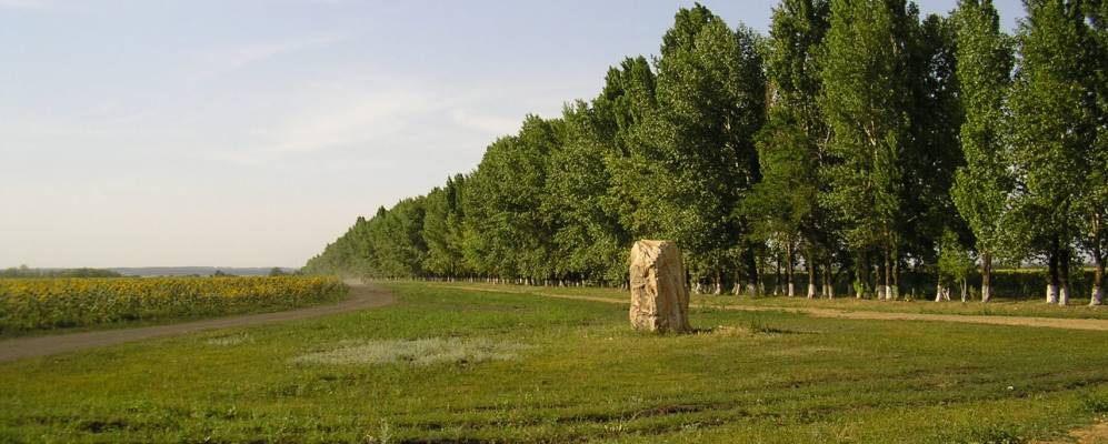 
            Фотография Высокого