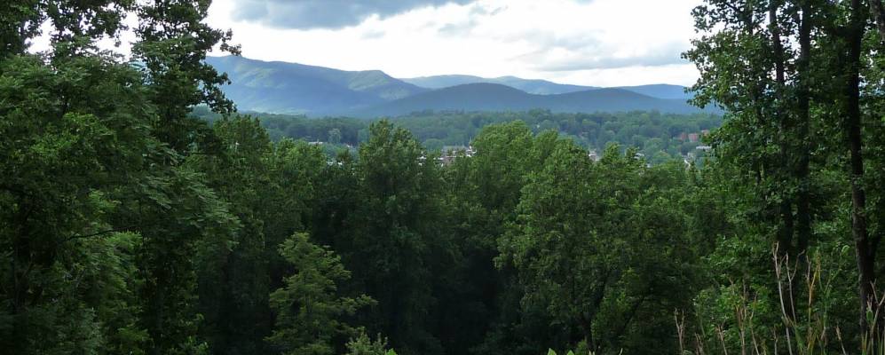 
            Фотография Вест Мэриона