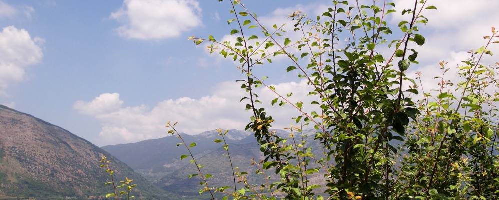 
            Фотография Маенцы