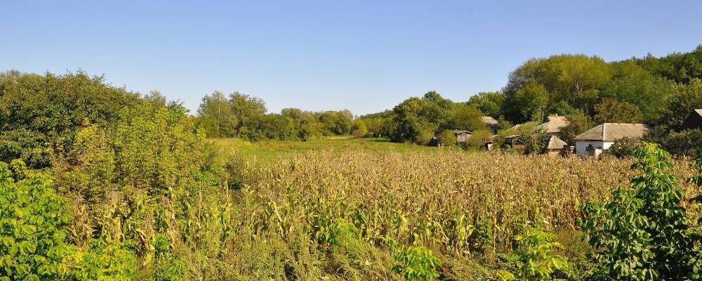 
            Фотография Андреевки