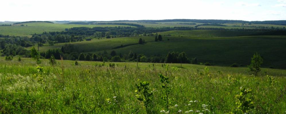 
            Фотография Красного Кушака