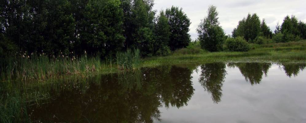 Фотография Дубово