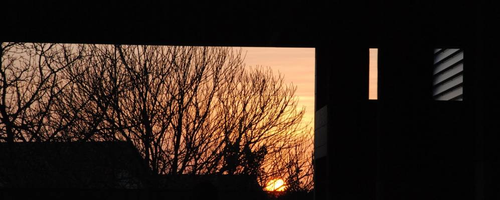 
            Фотография Олеироса