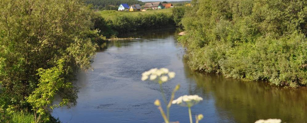 
            Фотография Иренского