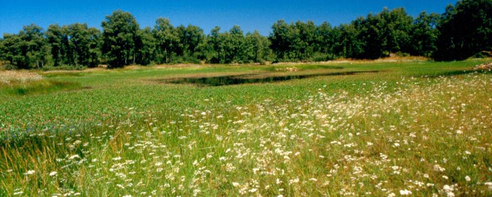 
            Фотография Санта-Коломба-де-Сомоса