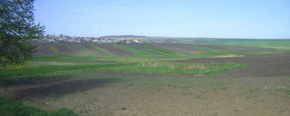 
            Фотография Несвои