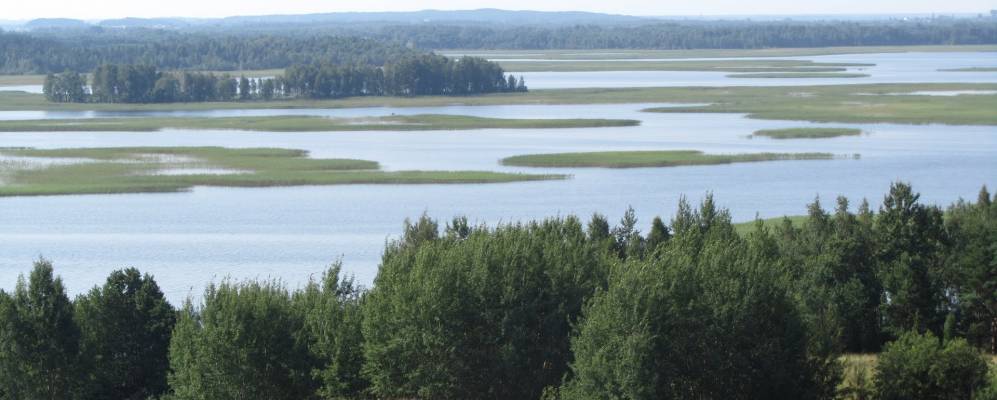 
            Фотография Оплисы-1