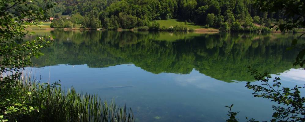 
            Фотография Эугста