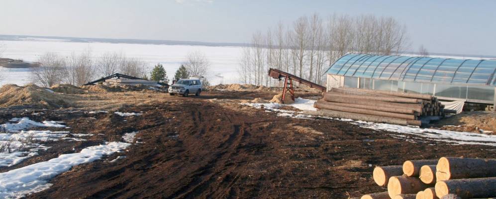 
            Фотография Тупицы