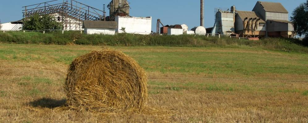 
            Фотография Прилепов