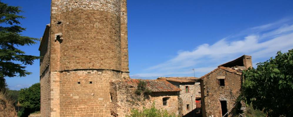 
            Фотография Saus