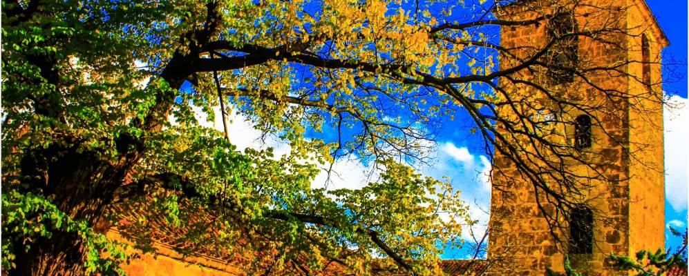 
            Фотография Есте