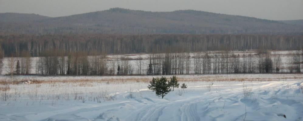 
            Фотография Ермаковского