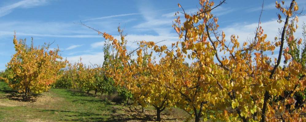 
            Фотография Сен-Жюльен-дю-Сер