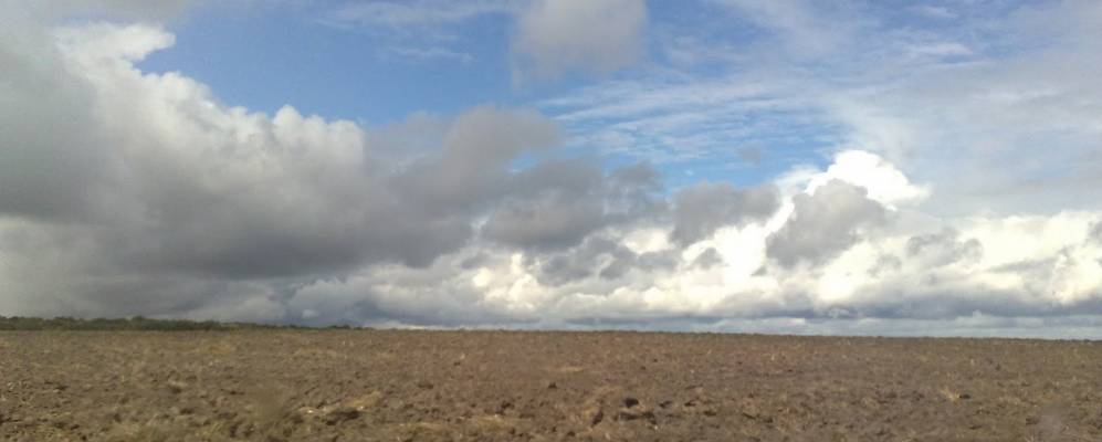 
            Фотография Долгого