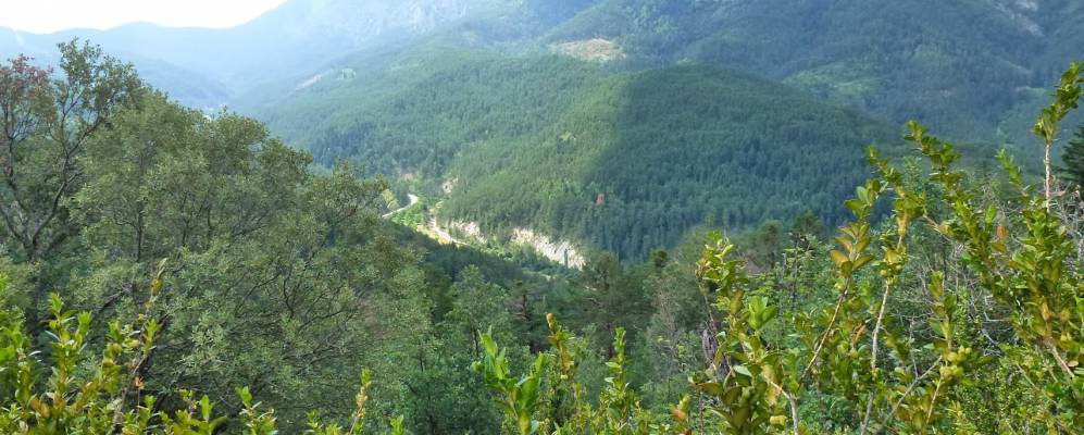 
            Фотография Гарде