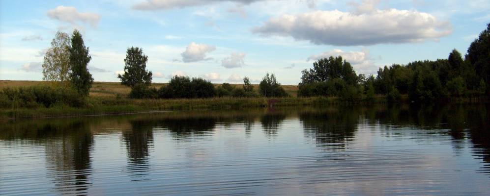 
            Фотография Шаши