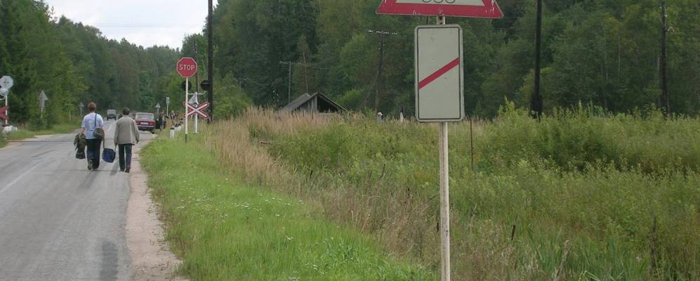 Фотография Раптицы