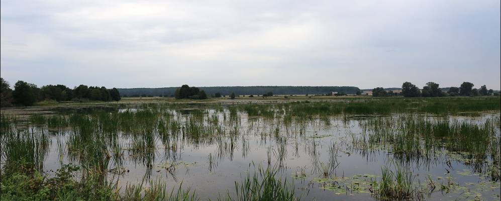 Фотография Чертовичей