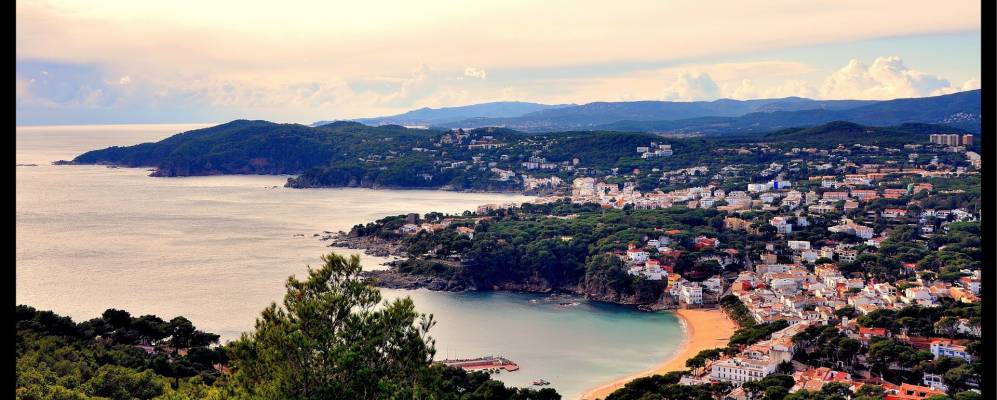 
            Фотография Лафранч