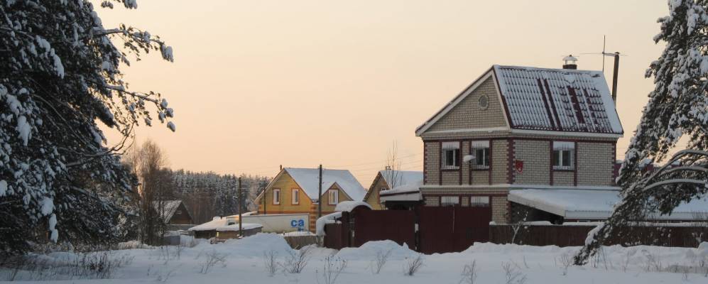 
            Фотография Зонихи