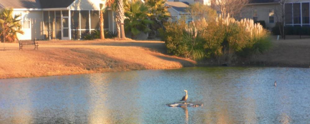 
            Фотография Маунт Плизанта