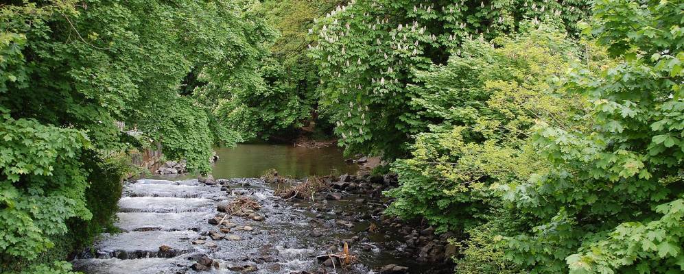 
            Фотография Бендорфа