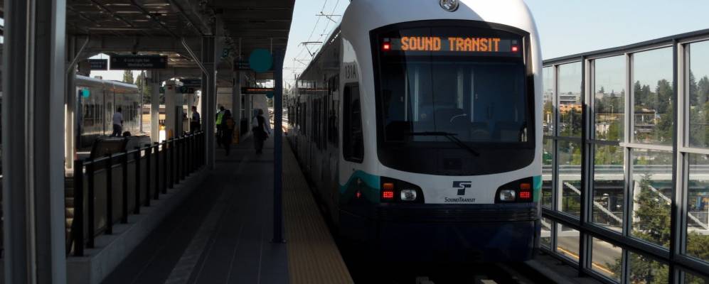 
            Фотография Ситака