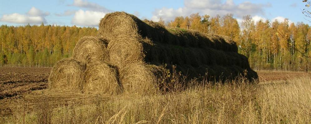 Фотография Княжёво