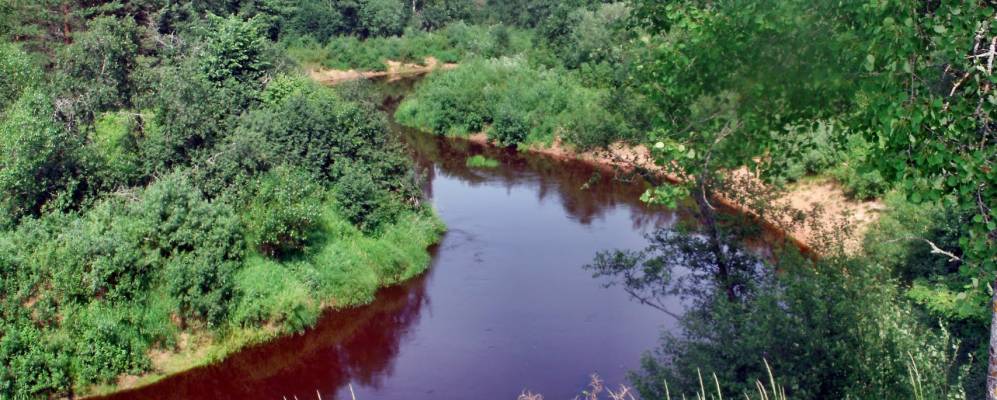 
            Фотография Язвища