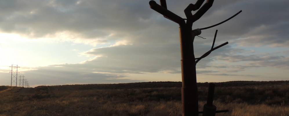 
            Фотография Холкомба