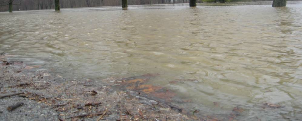 
            Фотография Нютауна