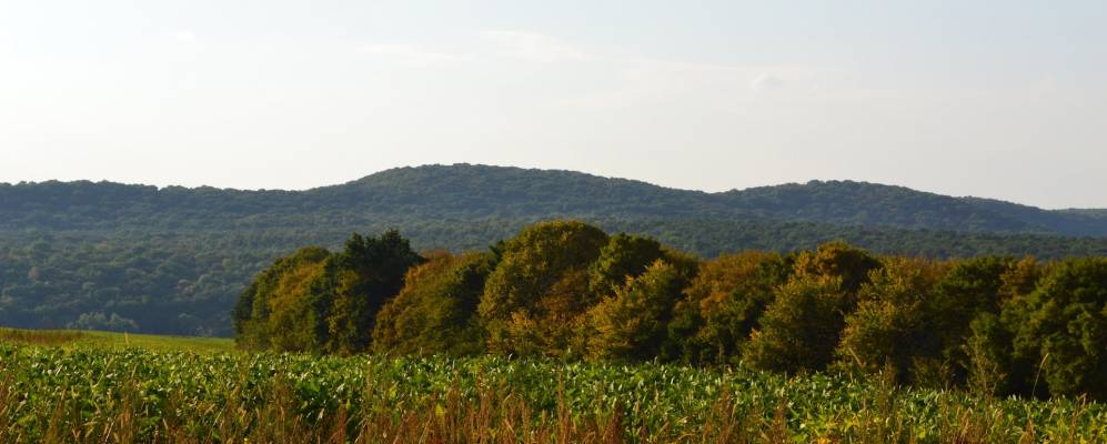 
            Фотография Романовки