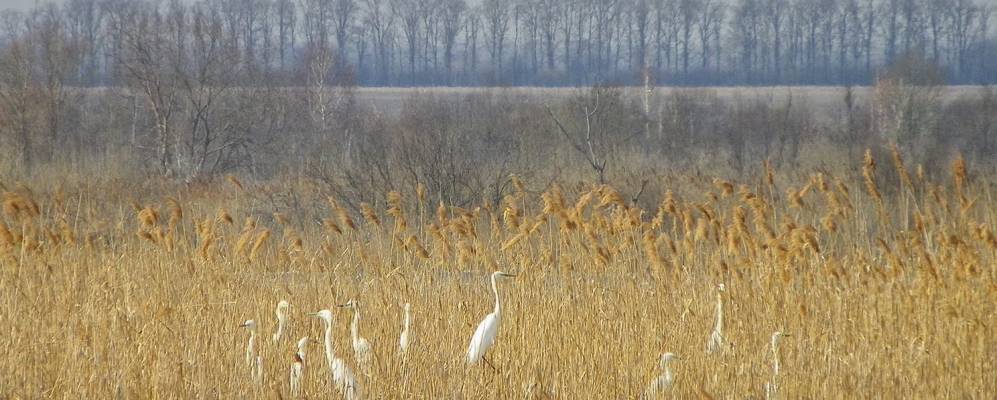 
            Фотография Самсоновки