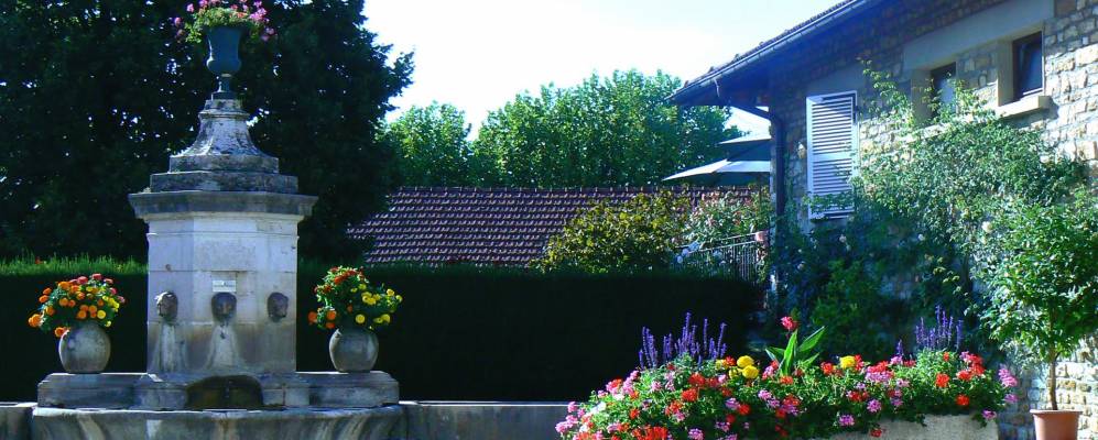 
            Фотография Треффор