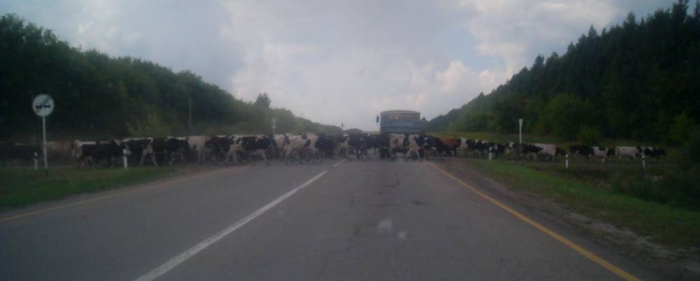 Фотография Городища